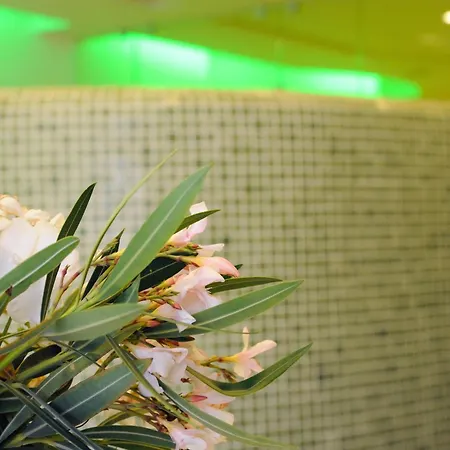 فندق Anthea 3*